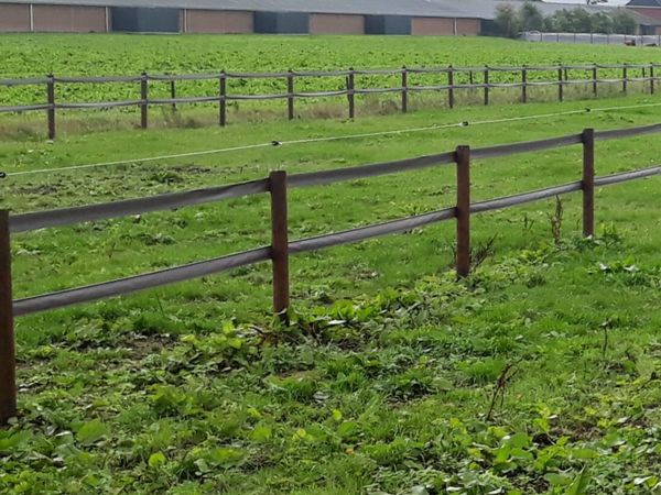 Equine Safety Fencing - Main image