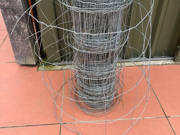 Sheep light wire - Main image
