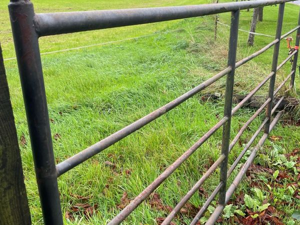 12 ft (3m)   6 bar Gates (7 units) - Main image