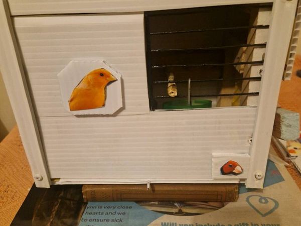 Bird transport cage - Main image