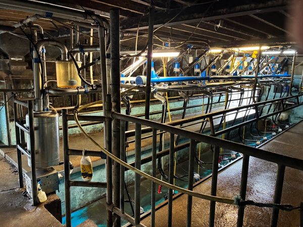 🐄12 Unit Dairymaster Milking Parlour 🐄 - Main image