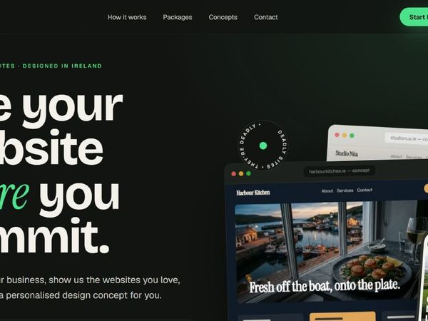 Professional Website for Irish Businesses - Main image