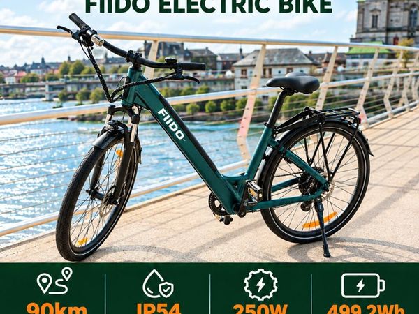 FIIDO C11 Electric Bike - Main image
