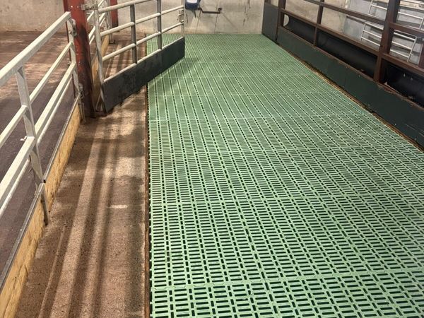 Plastic sheep slats - Main image