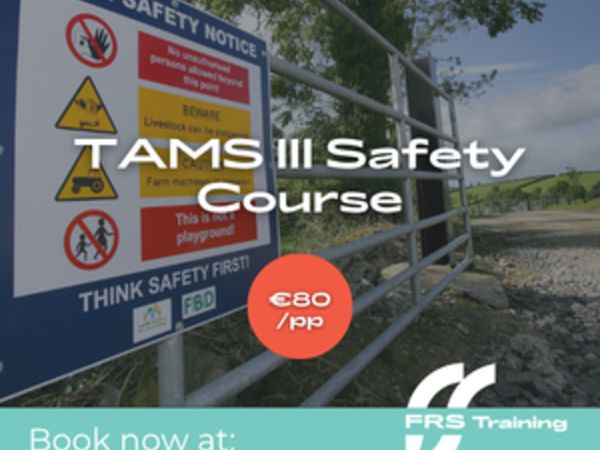 TAMS III Safety Course - Main image