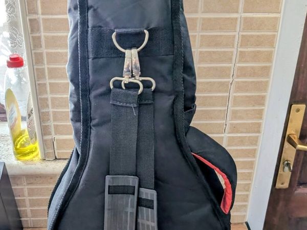 Denver mandolin and gig bag for sale - Main image