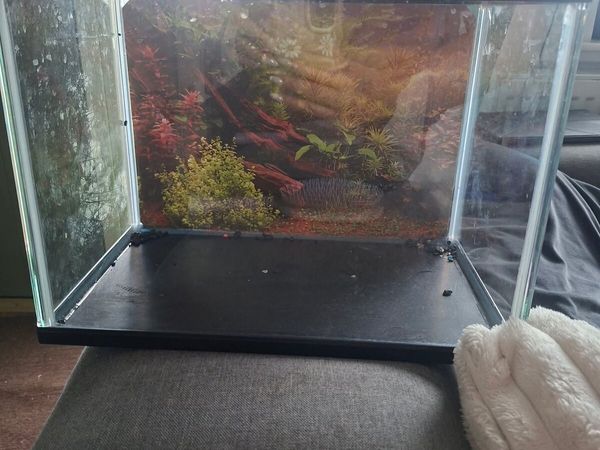 Small fish tank - Main image