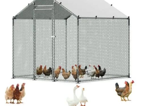 Metal Chicken Coop, 6.56x6.56x6.56ft Large Walk-in - Main image