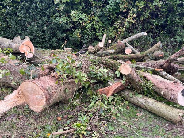 Firewood for sale - Main image