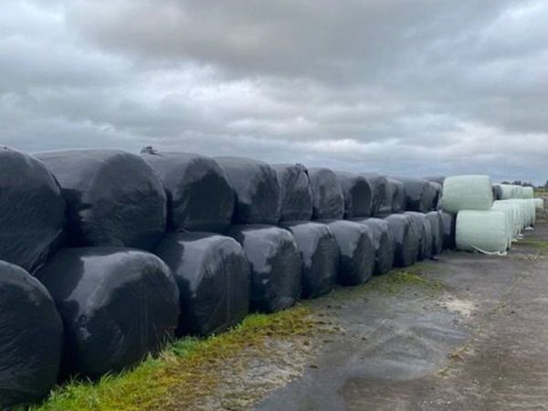 Silage/Haylage bales - Main image