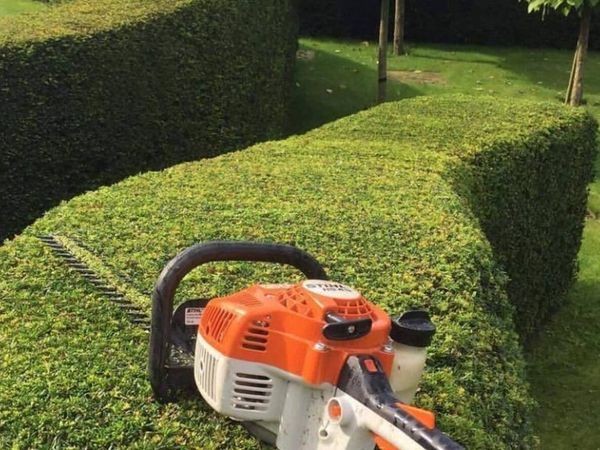 Hedge Cutting! - Main image