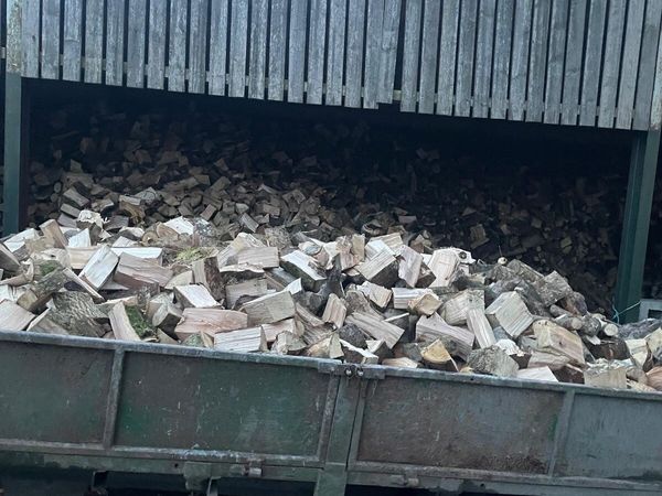 Firewood - Main image