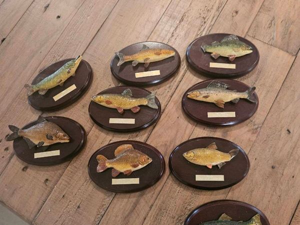 9 fisherman's tale plaques - Main image