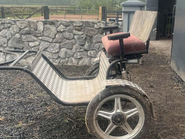 Road cart for a pony - Main image