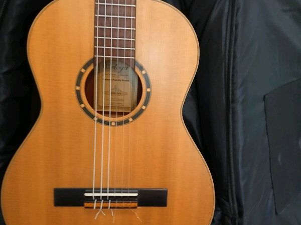 ORTEGA GUITAR  (  CASE IS NEW ) - Main image