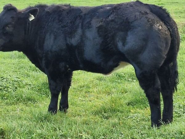 Available Balla Mart Tue 20 Oct Lots 840 and 841 - Main image