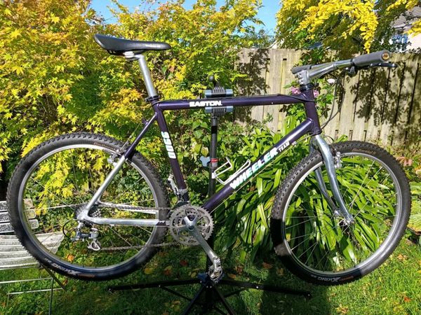 MTB Wheeler Team Easton 9900 - Main image