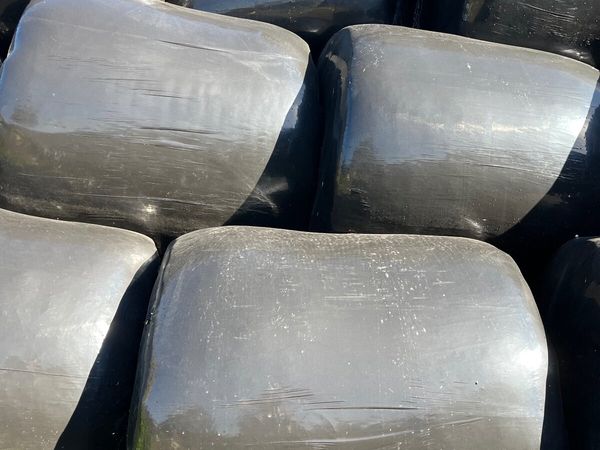 Silage - Main image
