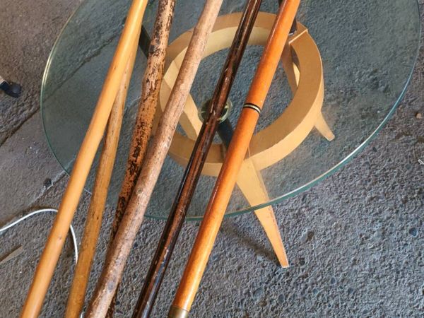 Walking Sticks - Main image