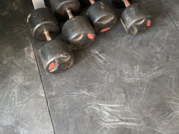 Round dumbbells and bench - Main image