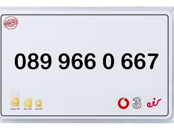VIP GOLDEN NUMBER Ultra Memorable & Rare 💎 667 - Main image