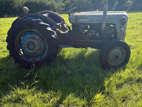 Vintage Tractor FE 35 - Main image