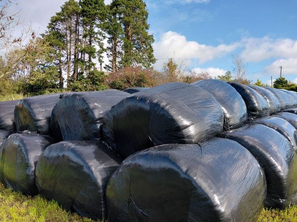 Silage bails - Main image