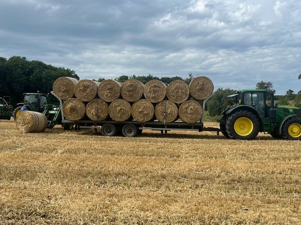 Quality wheat straw, hay, haylage,baled/pit silage - Main image