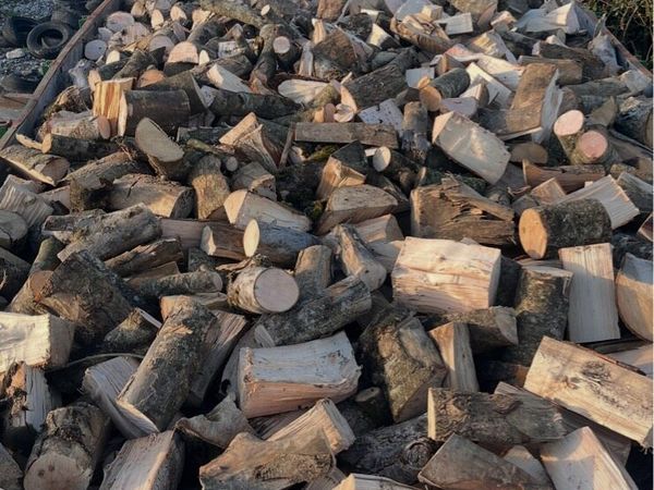 Firewood - Main image