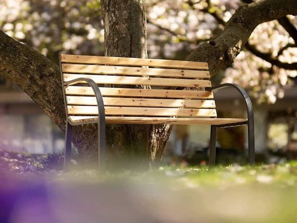 Garden Furniture Wooden Bench for Outdoor Relaxing - Main image