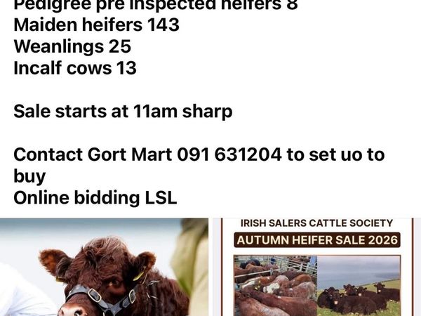 Get Mart: Saler & SalerX show & sale : 17th Oct - Main image