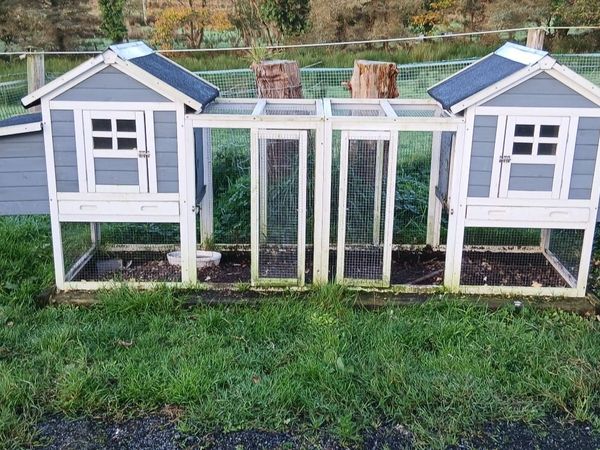 Chicken coop and chickens - Main image