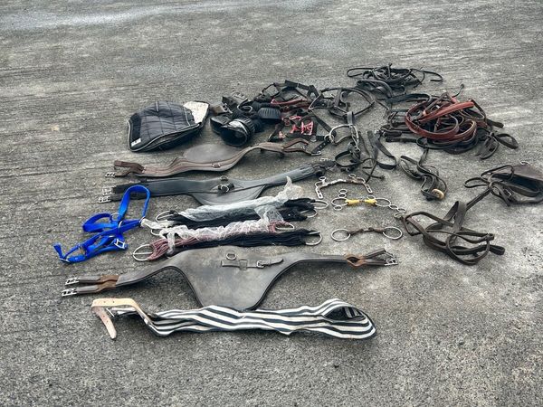 Selection of girths , bridles , travel boots etc - Main image
