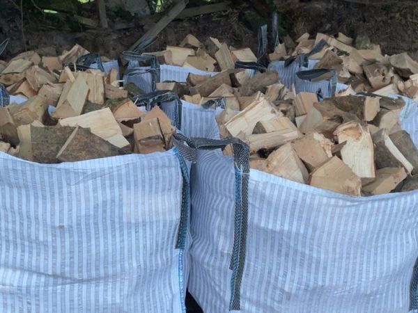 🔥🔥 Ash firewood 🔥🔥 - Main image