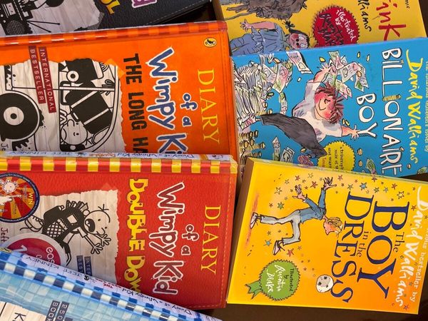 Selection of David Williams & Diary of a Wimpy Kid - Main image