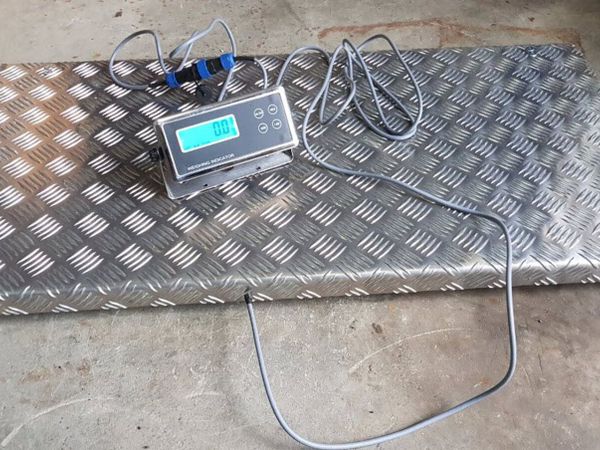 Platform scale up to 300kg - Main image