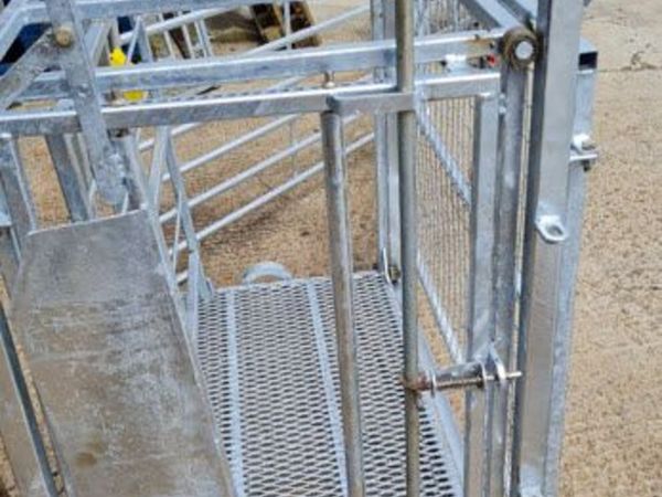 Lifting table for animals - Main image