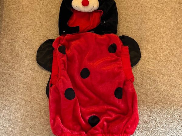 Ladybird costume - Main image