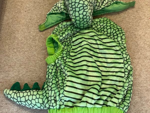 Dinosaur costume - Main image