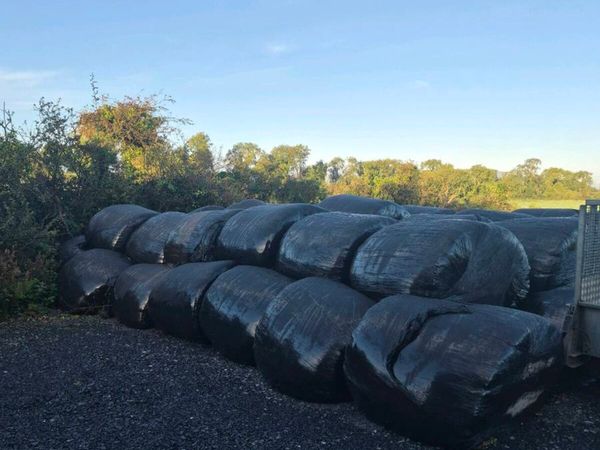 Silage Bales ""New Grass"" - Main image