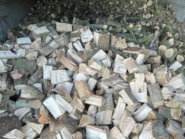 Firewood - Main image