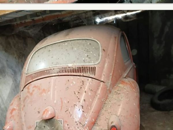 Vw beetle - Main image