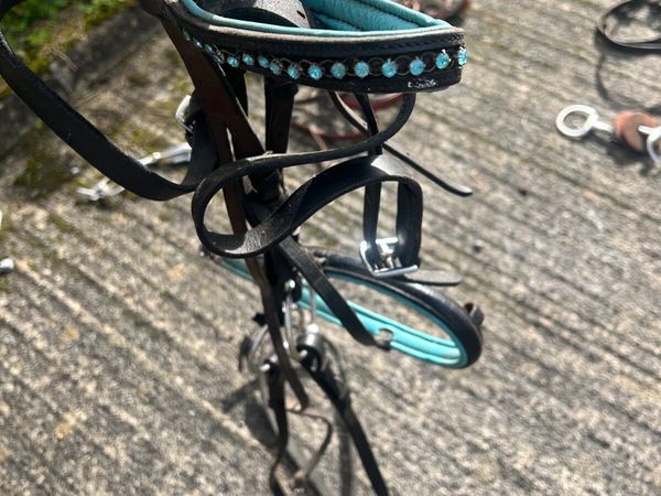Pony bridle - Main image