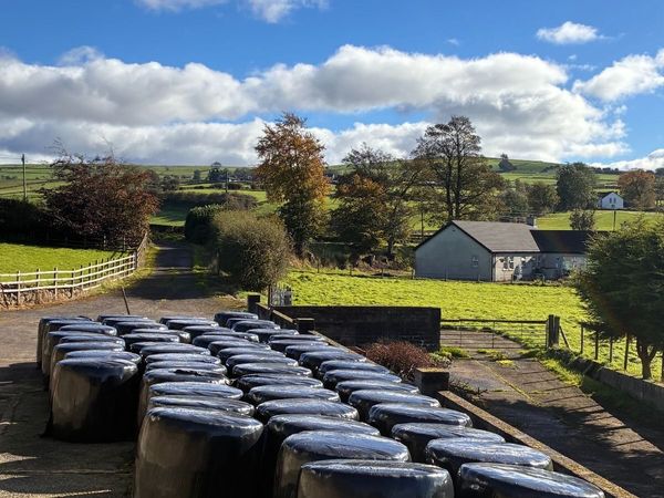 Silage - Main image