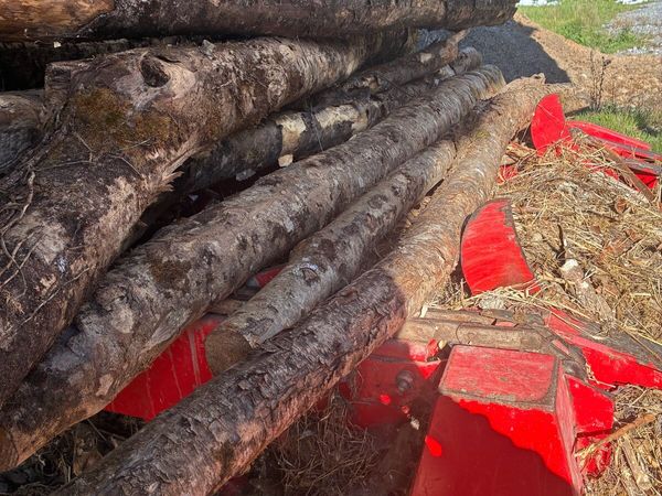 Firewood processor - Main image