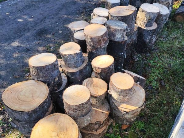 Timber logged for splitting - Main image