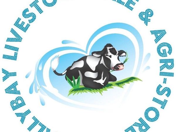 Ballybay Mart Dairy Sale 21st of October - Main image