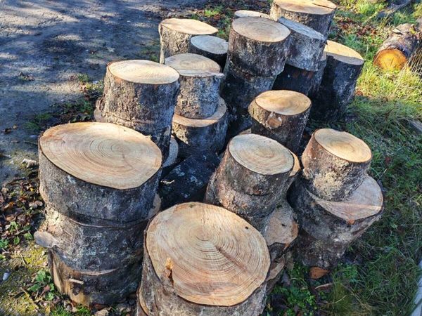 Timber logged for splitting - Main image