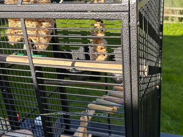 Cage - Main image