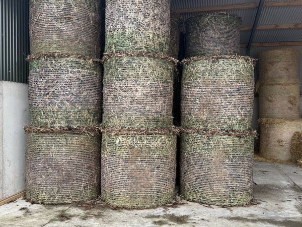 Bean straw bales 20€ per bale - Main image